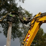 Aanbrengen van een berlinerwand met partner van Schie onder een hoogtebeperking door bomen